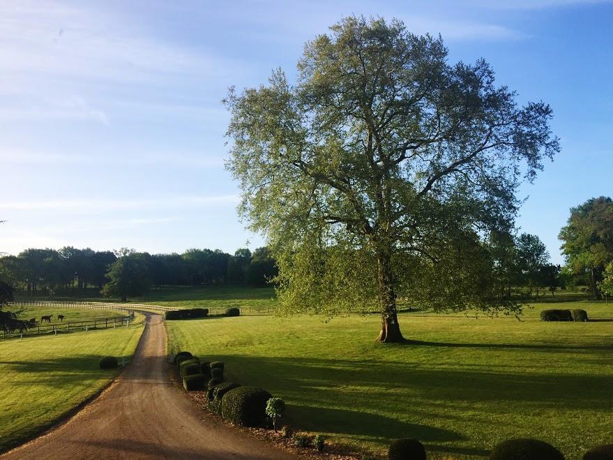 Hotel Haras De La Potardiere Crosmières エクステリア 写真