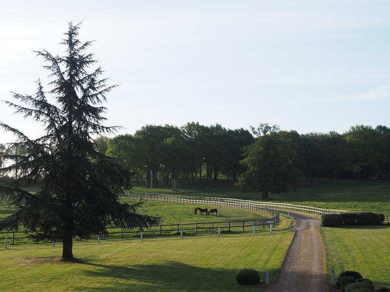 Hotel Haras De La Potardiere Crosmières エクステリア 写真